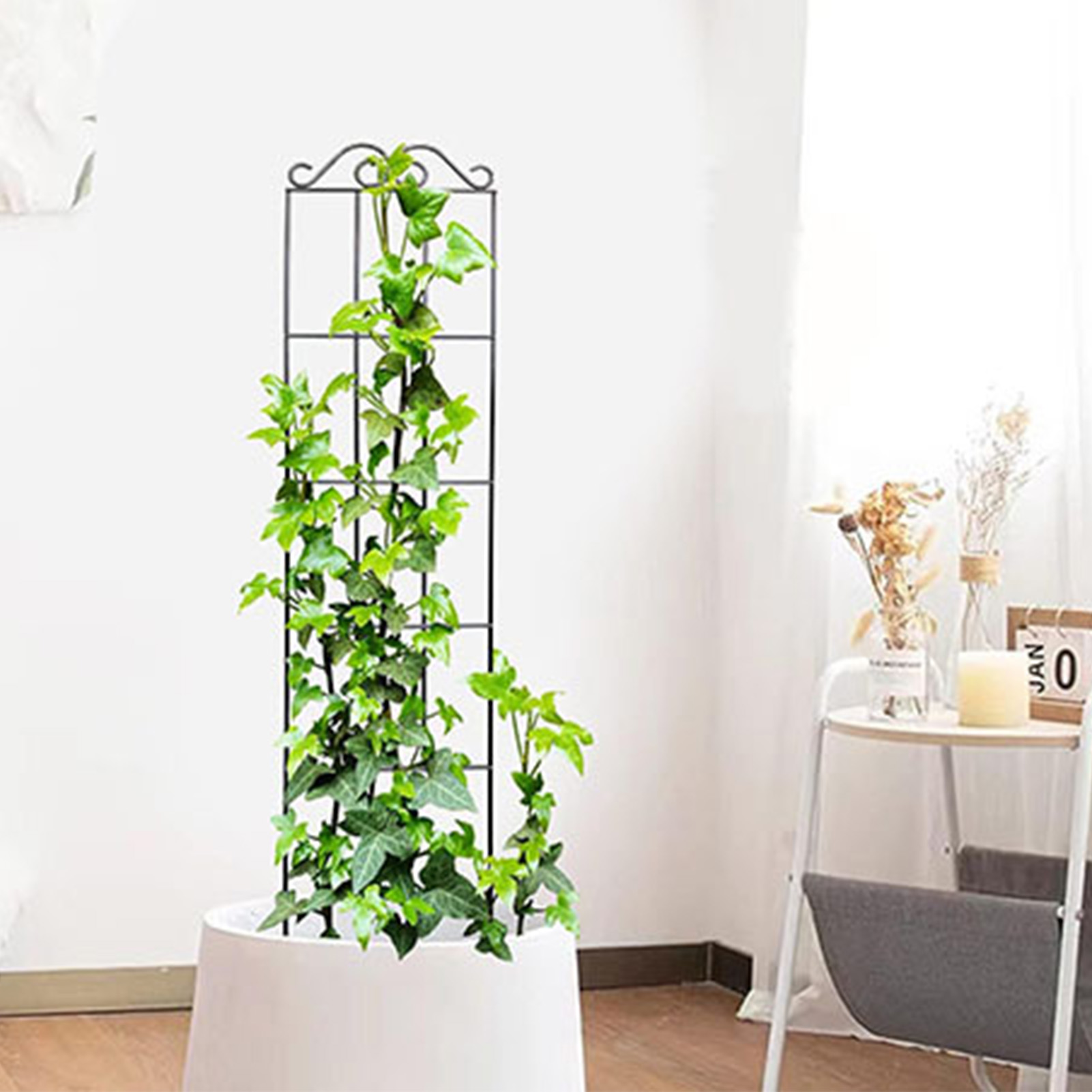 Bahçe kafes dayanıklı bahçe ka - Florist Supply Bulk incelemesi ve fiyatı