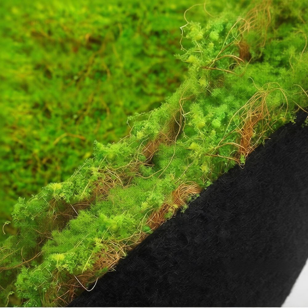 Yapay Yosun Çim Matı, Mikro Pe - Preserved Moss Sheet incelemesi ve fiyatı