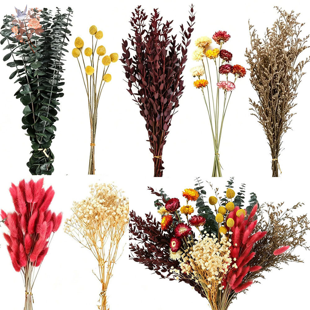 Kurutulmuş Çiçeklerden Oluşan  - Florist Flower Supply incelemesi ve fiyatı