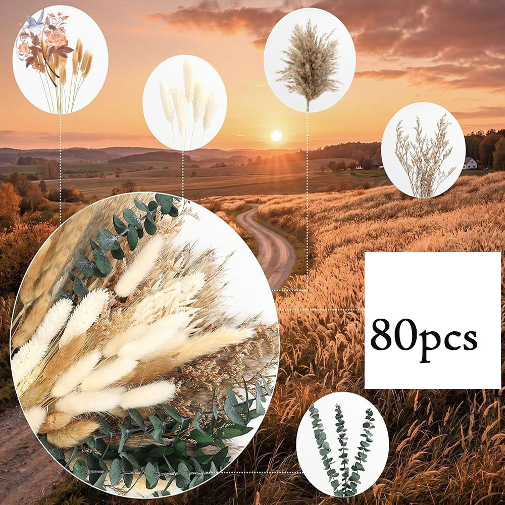 80 Adet Doğal Kurutulmuş Çiçek - Eucalyptus Preserved incelemesi ve fiyatı